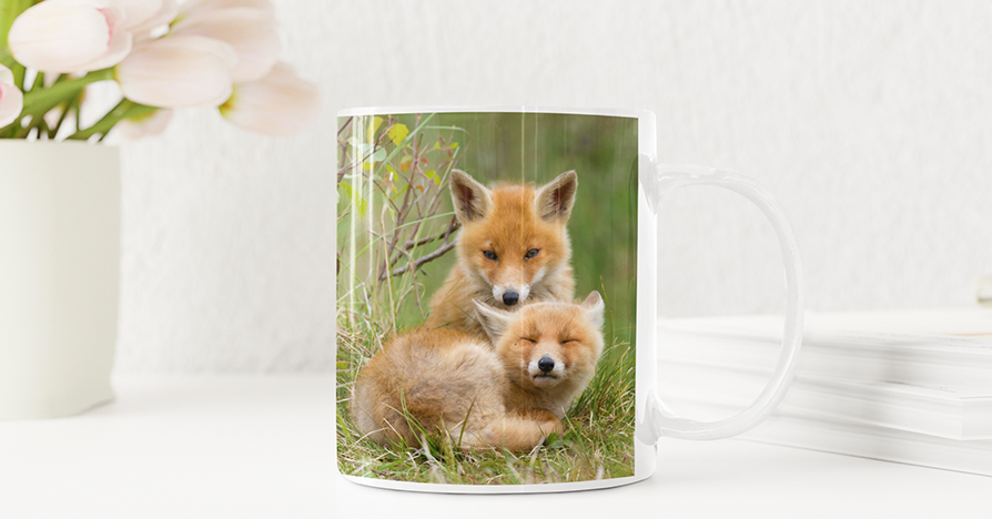 Photo Mug for World Wildlife Day Gift Idea