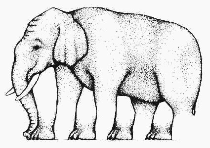 How many legs this elephant have